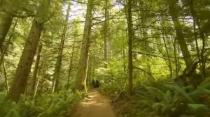 Антуан Приоре, итальянский Никола Тесла