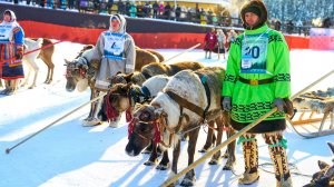 Окружной конкурс профессионального мастерства среди оленеводов на Кубок губернатора Югры 2026