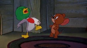 утка джерри