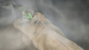 очистка паром твёрдотопливный котел ZOTA BULAT 18 кВт