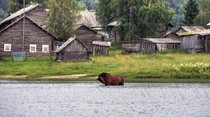«В ГЛУХОЙ ДЕРЕВНЕ». Интересная история из жизни