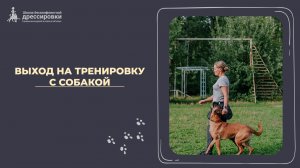 Выход на тренировку с собакой