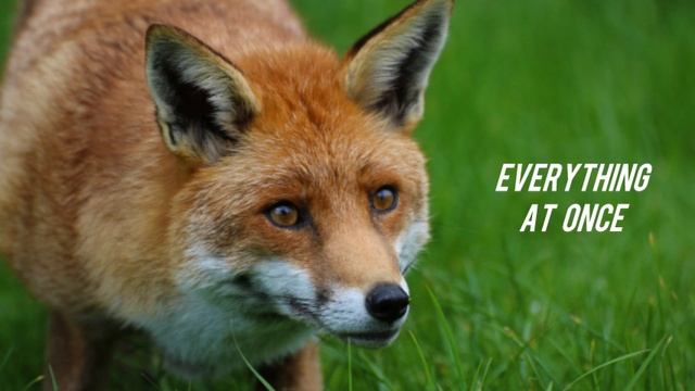 Lenka - Everything At Once