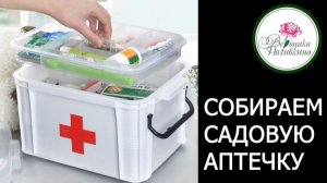 САДОВАЯ АПТЕЧКА - наводим порядок