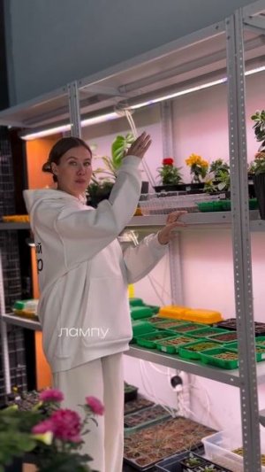 Фитолампа для рассады: главные правила света