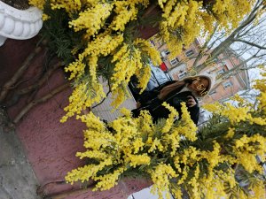 камелька 🍥