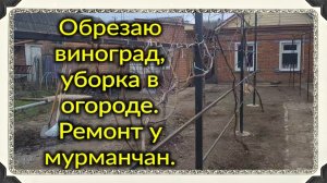 Ейск. Обрезаю виноград. Работаю в огороде. Ремонт у мурманчан и не только...