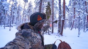 ОТКРЫВАЮ КАПКАНЫ НА КУНИЦУ. ЧТО МЫШИ ТВОРИЛИ В ИЗБУШКЕ? 4 серия