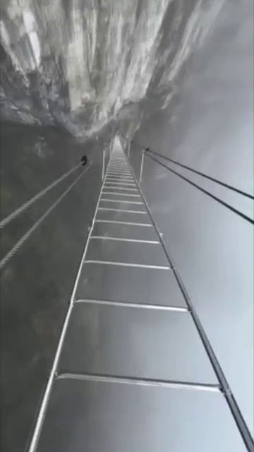 Подниматься по самой высокой вертикальной лестнице.