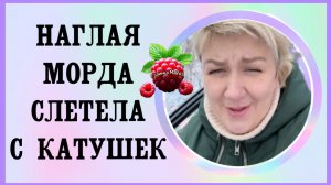 Деревенский дневник _Наглая морда слетела с катушек _Обзор _Леля Побируха _Ольга Быкова