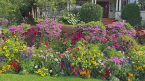 САДЫ США.  ПРЕКРАСНЫЕ САДЫ О-ВА МАКИНАК  2025