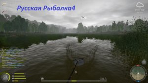 Русская Рыбалка 4 Разнорыбица