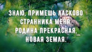 Родина прекрасная - минус мой 2