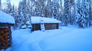 ЗДРАВСТВУЙ ИЗБУШКА. БЫТОВЫЕ ДЕЛА ДО ТЕМНА. ПРИГОТОВИЛ УЖИН 3 серия