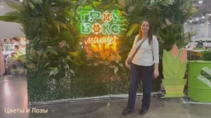 ГРОУБОКС МАРКЕТ 28.02.2026 🔥