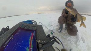 Щука и не клюющие судака.Рыбалка с active target.