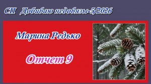 СП "Добиваю недовязы-5/2026" / Отчет 9