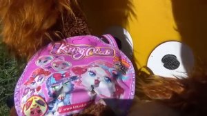 Игрушки и Новые приключения Насти в поисках сюрпризов [get.gt]