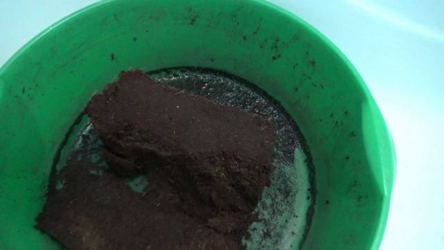 ПОСЕВЫ 2026-44.  Готовлюсь к посевам томатов для открытого грунта.