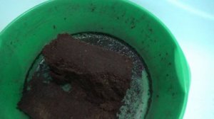 ПОСЕВЫ 2026-44.  Готовлюсь к посевам томатов для открытого грунта.