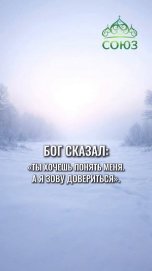 О попытках всё понять - Тихие заповеди