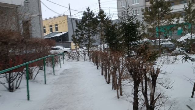 Прогулка и рассуждения по поводу 8 - го марта