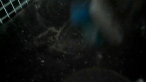 Универсальная щётка для дрели.