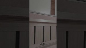 24 часа моей собаки.