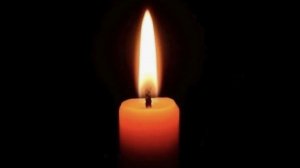 Собираю остатки опоносившихся отводков часть 1