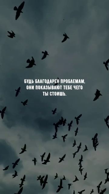 #1096 Цитата дня. Мотивация.