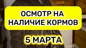 Осмотр ульев на наличие кормов. Бакфаст, зимовка 2026 года