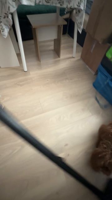 Что это за зверь морской