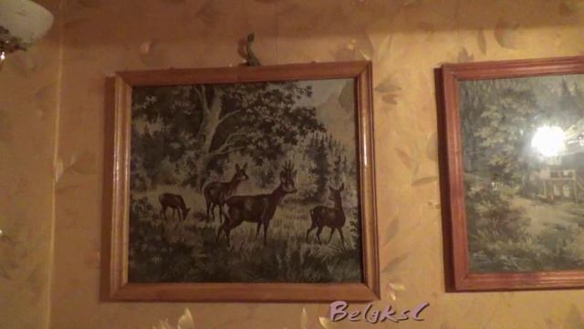 Супер Кот Джим. Игры.