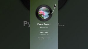 Руми Весенний дождь смывает слёзы грусти 4