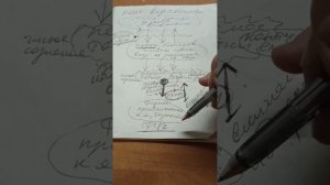 Моя теория про сознание человека, про аналогичную структуру у ИИ...