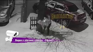 В одном из уфимских дворов прошли «археологические раскопки»