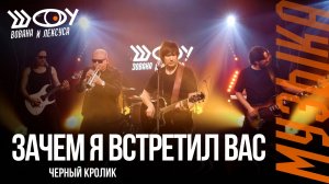 Черный кролик – Зачем я встретил вас / Шоу Вована и Лексуса