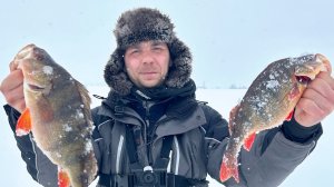 Поклевки ОДНА ЗА ОДНОЙ, КРУПНЯК РВЕТ ЛЕСКУ! РЫБАЛКА в ГЛУХОЗИМЬЕ НА БАЛАНСИР И МОРМЫШКУ 2026