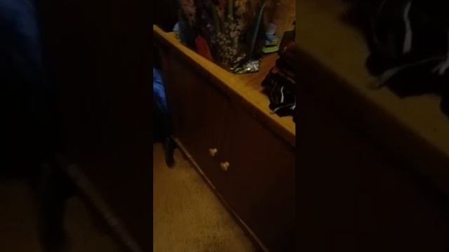 продолжение, 24 часа в одном цвете