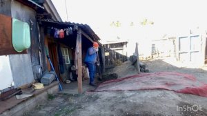 Где моя квартира -Рассказ о замужестве и отношения с свекровью