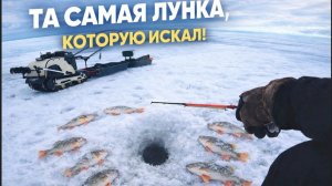 НАШЕЛ ТУ САМУЮ ЛУНКУ... ОКУНЬ НА БАЛДУ