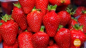 Клубника, ты откуда такая весенняя? Доброе утро. Фрагмент выпуска от 06.03.2026