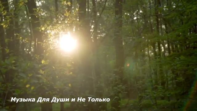 Весенние хиты инструментальной музыки 2026 Сергей Грищук ⁨@MusicForSouland