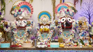 6.02.26 (17:00) - Пятничный маха-киртан