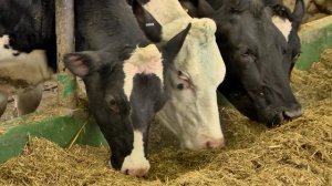 «Земля и люди» — 06.03.2026