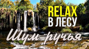 🌿 RELAX — ЛЕСНОЙ РУЧЕЙ И ПЕНИЕ ПТИЦ | ЗВУКИ ЛЕСА И ВОДЫ ДЛЯ СНА, МЕДИТАЦИИ И ГЛУБОКОГО РАССЛАБЛЕНИЯ