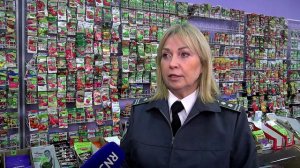 Как выбрать семена для рассады