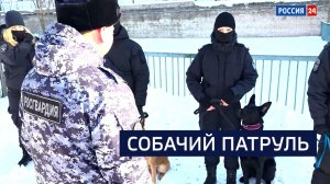 ВЕСТИ 24  Санкт-Петербург от 06.03.2026