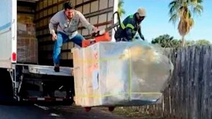 NEW! FailArmy. Best Fails of the Week 😂 These Were Terrible Ideas!