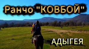 ☘️Ранчо Ковбой. Конные прогулки. Адыгея